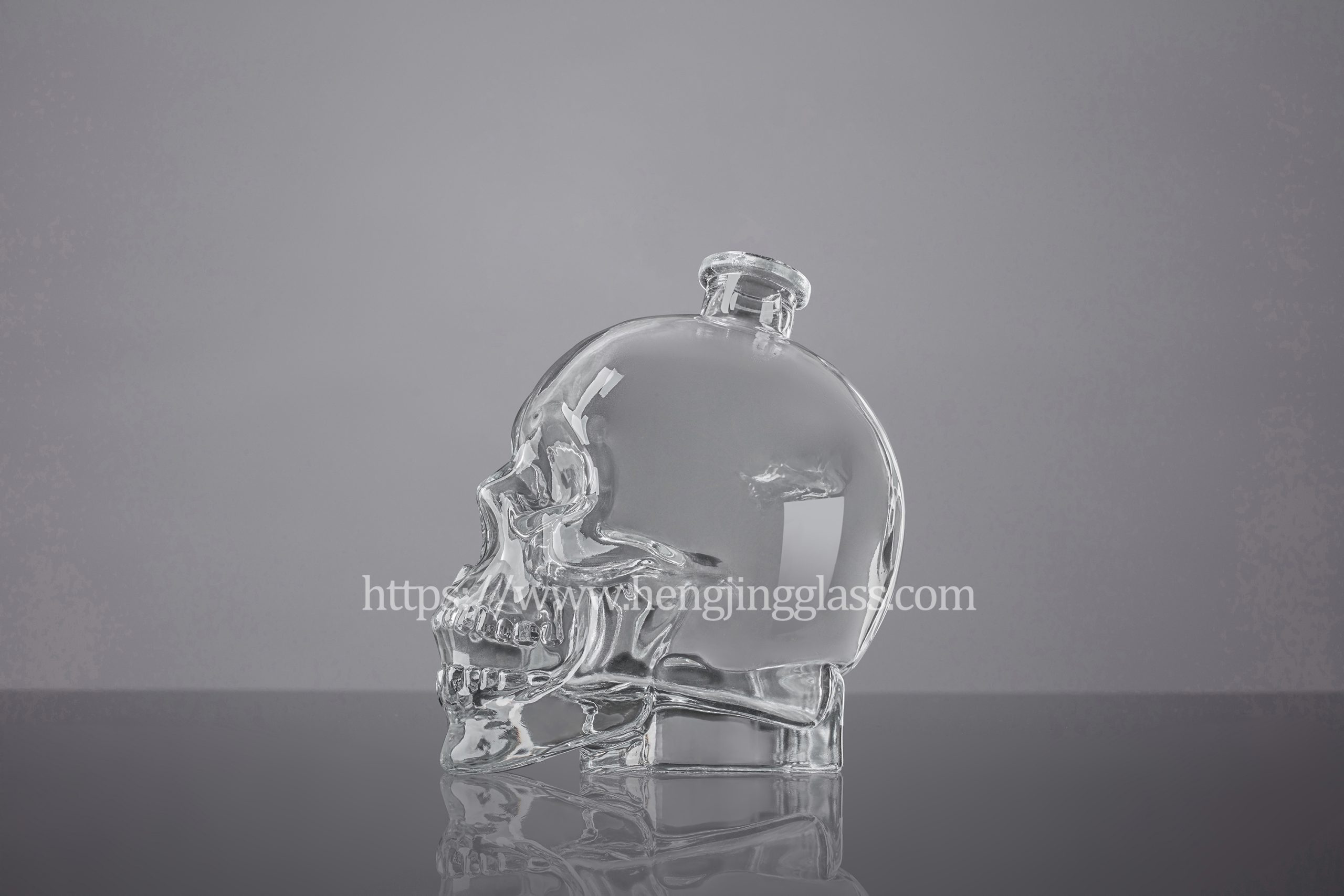 1000ml Liquor Bottle With Skull Shape HJ-Y053