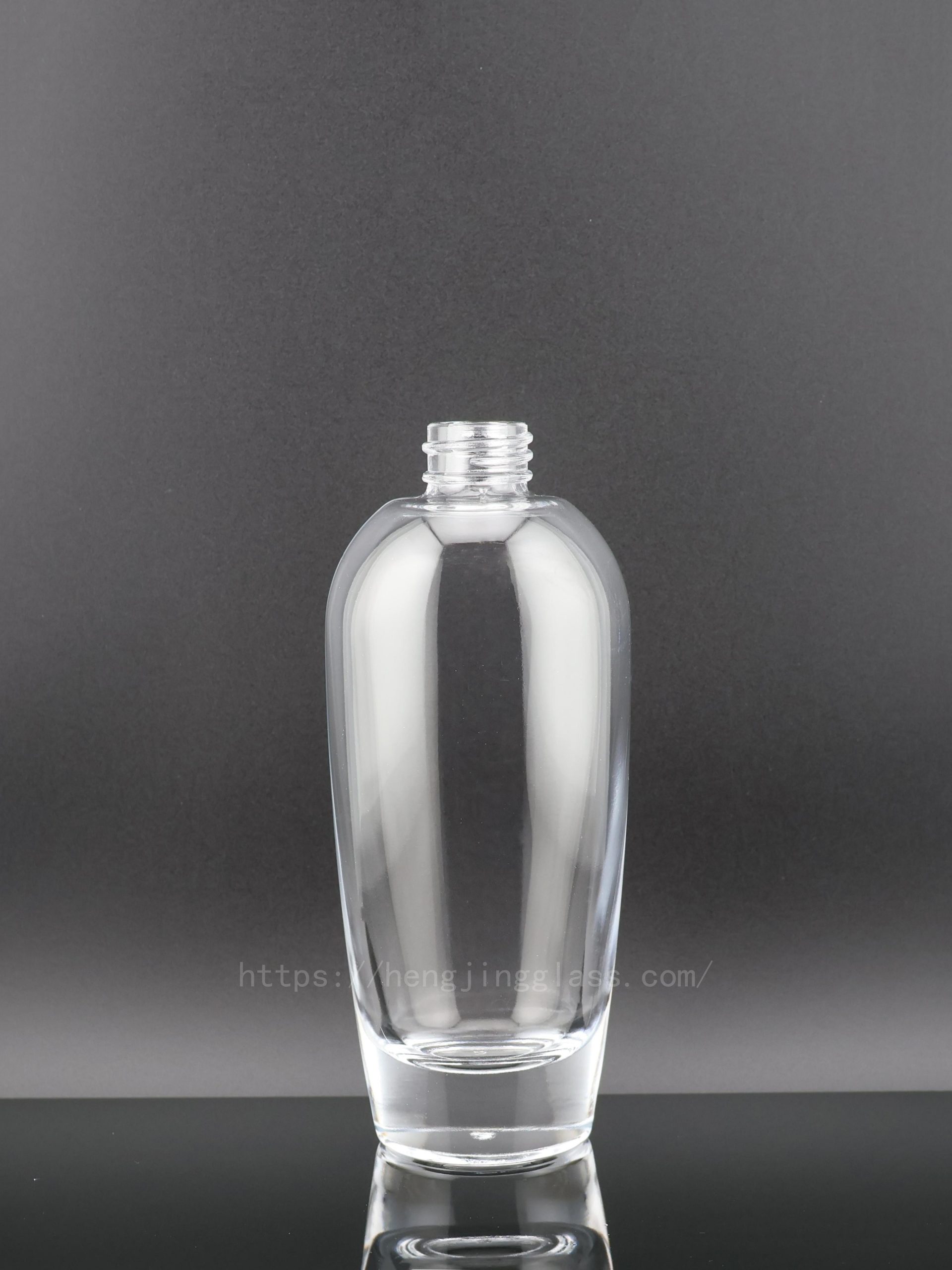100ml HJ-X008 Lotion bottle Cosmetic bottle