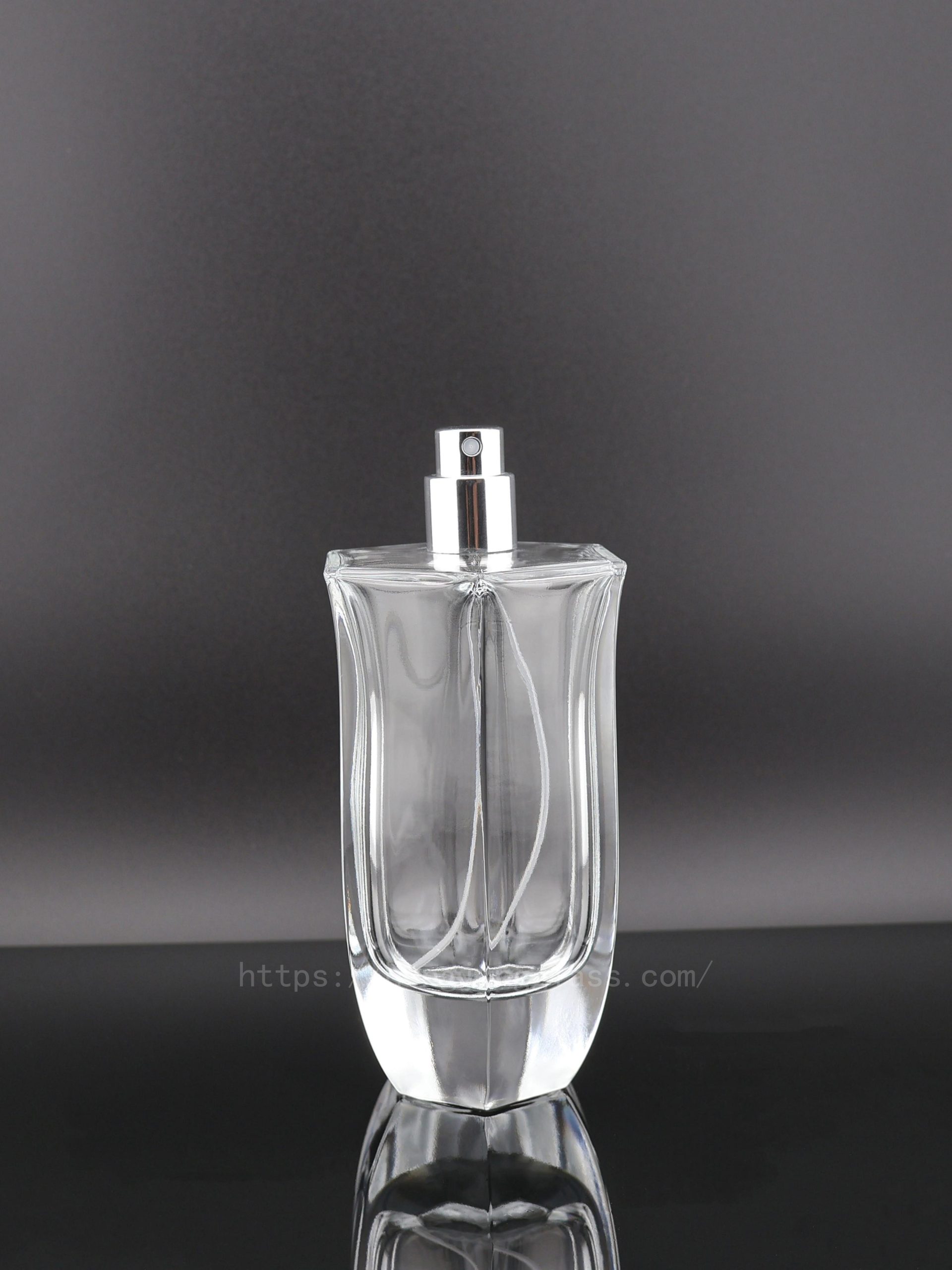 100ml HJ-X015 Perfume Bottle Cosmetic Bottle